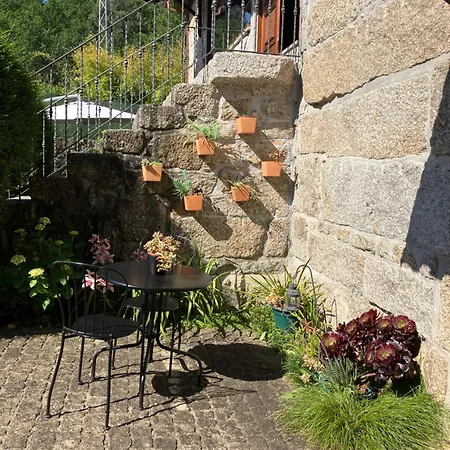 Bergui - Em Desde 2017 *