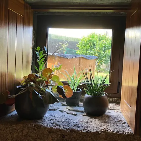 Bergui - Em Desde 2017 * Гимарайнш