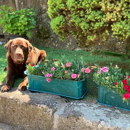 Отель Bergui - Em Desde 2017 Гимарайнш