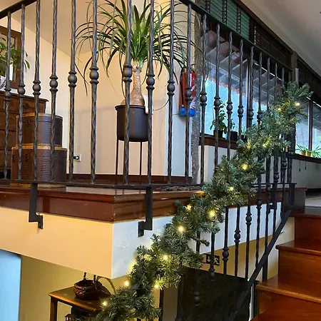 Bergui - Em Desde 2017 *