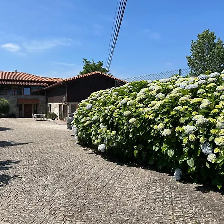 Bergui - Em Desde 2017 * Guimarães