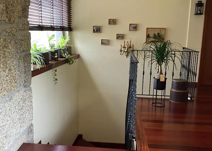 Bergui - Em Desde 2017 * Guimarães