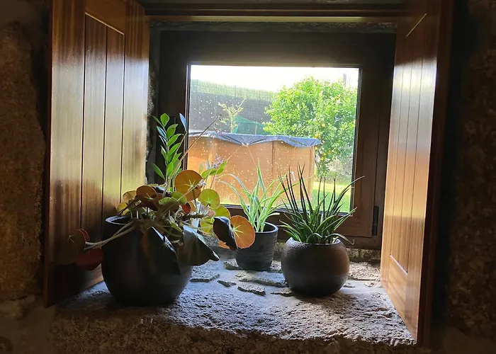 Bergui - Em Desde 2017 * Guimarães