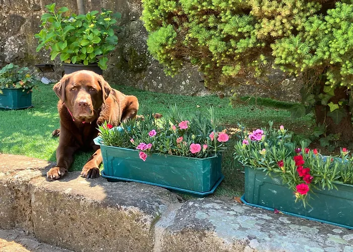 ホテル Bergui - Em Desde 2017 ギマランイス