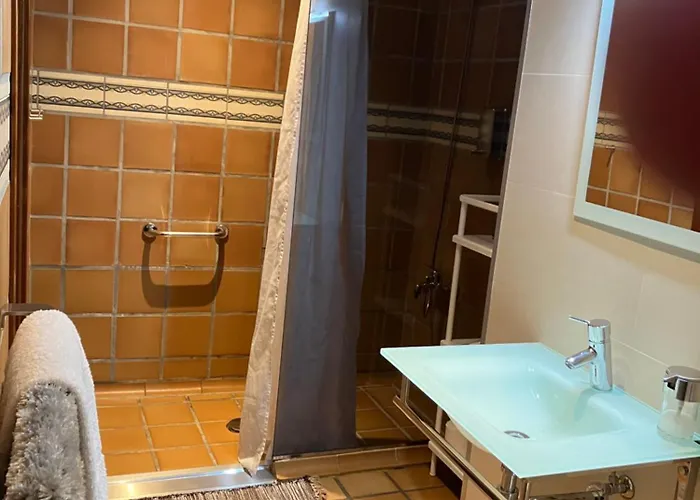 Bergui - Em Desde 2017 *