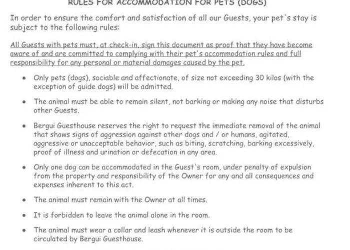 Bergui - Em Desde 2017 *