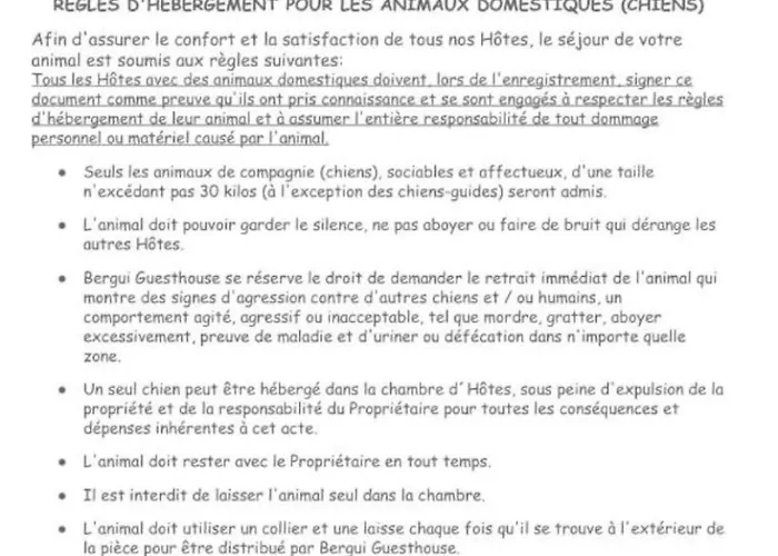 Bergui - Em Desde 2017 Guimarães